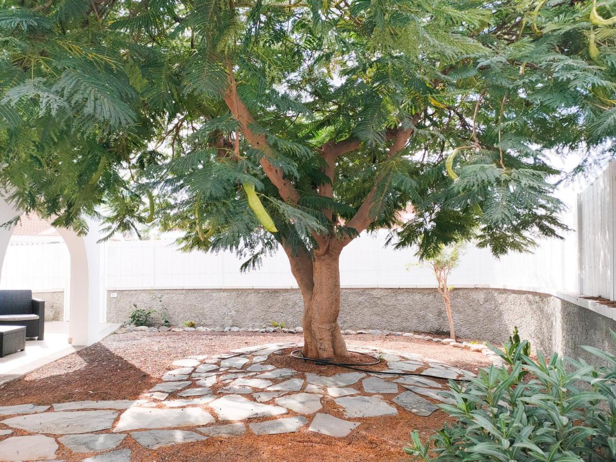 Pretty Terrace Holiday House In Maspalomas Playa del Ingles  Luaran gambar